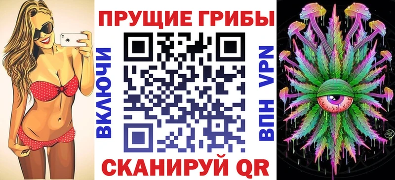 купить   Грозный  Псилоцибиновые грибы ЛСД 