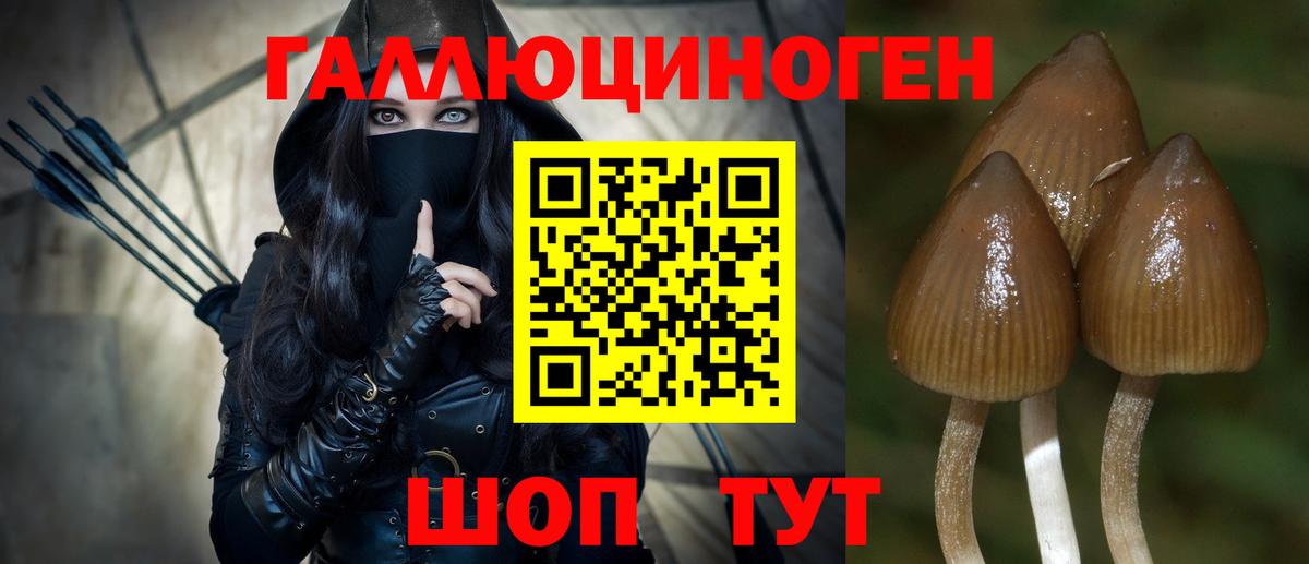 Грозный  Галлюциногенные грибы Magic Shrooms  Вход с VPN  Галлюциногенные грибы мухоморы 