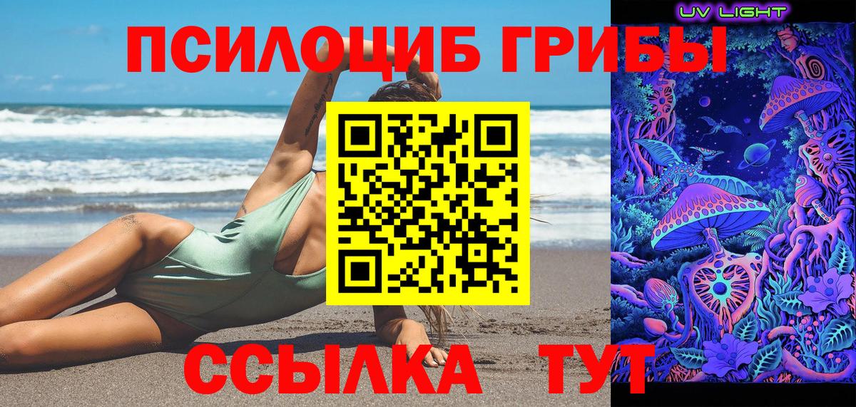 Галлюциногенные грибы Psilocybine cubensis  Грозный 