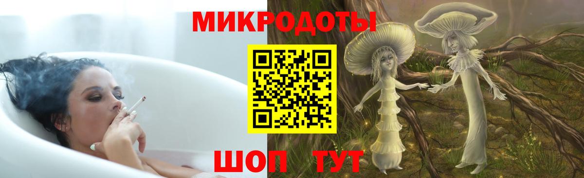 Псилоцибиновые грибы GOLDEN TEACHER Грозный